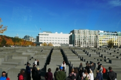 Berlin (49)