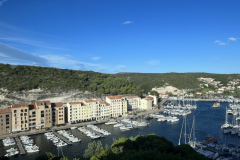 IMG_1979