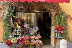 IMG_2275