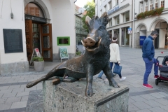 P1030662