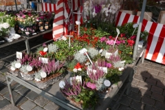 Nürnberg (42)