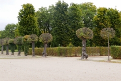 Potsdam (33)