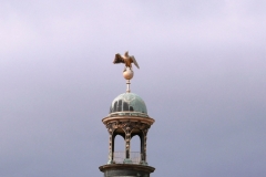 Potsdam (38)