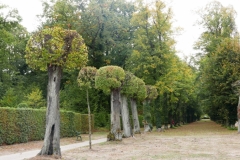 Potsdam (42)